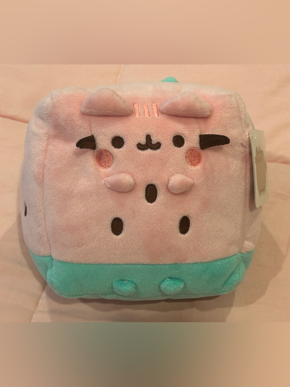 Pusheen Fruits: Watermelon 🍉🐈